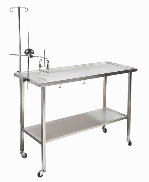Stainless steel animal dissection table small and medium-sized pet vet table with head fixator